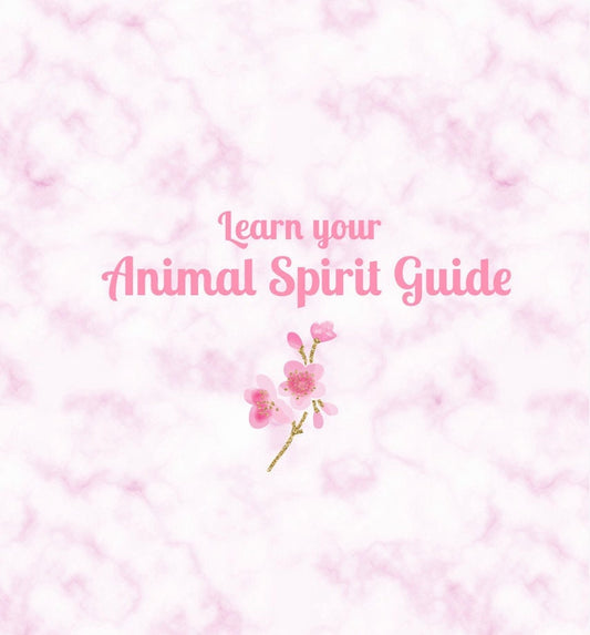 Animal Spirit Guide Reading